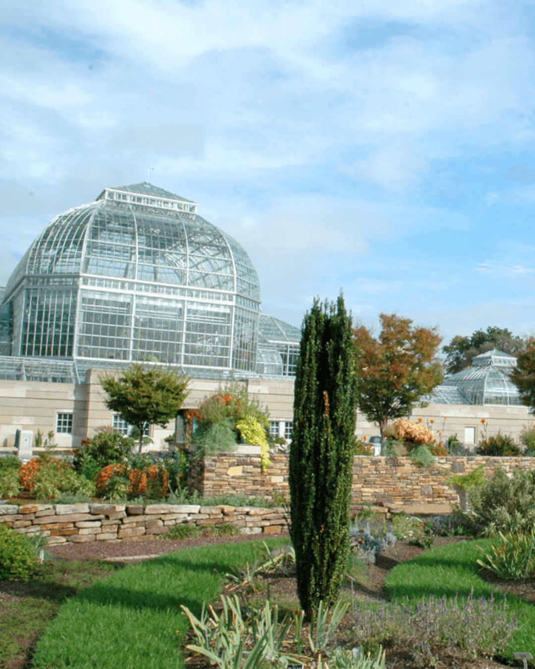 Washington Garden