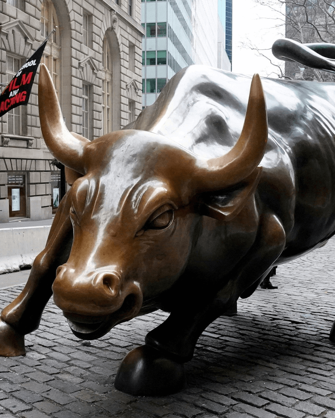 Touro de Wall Street